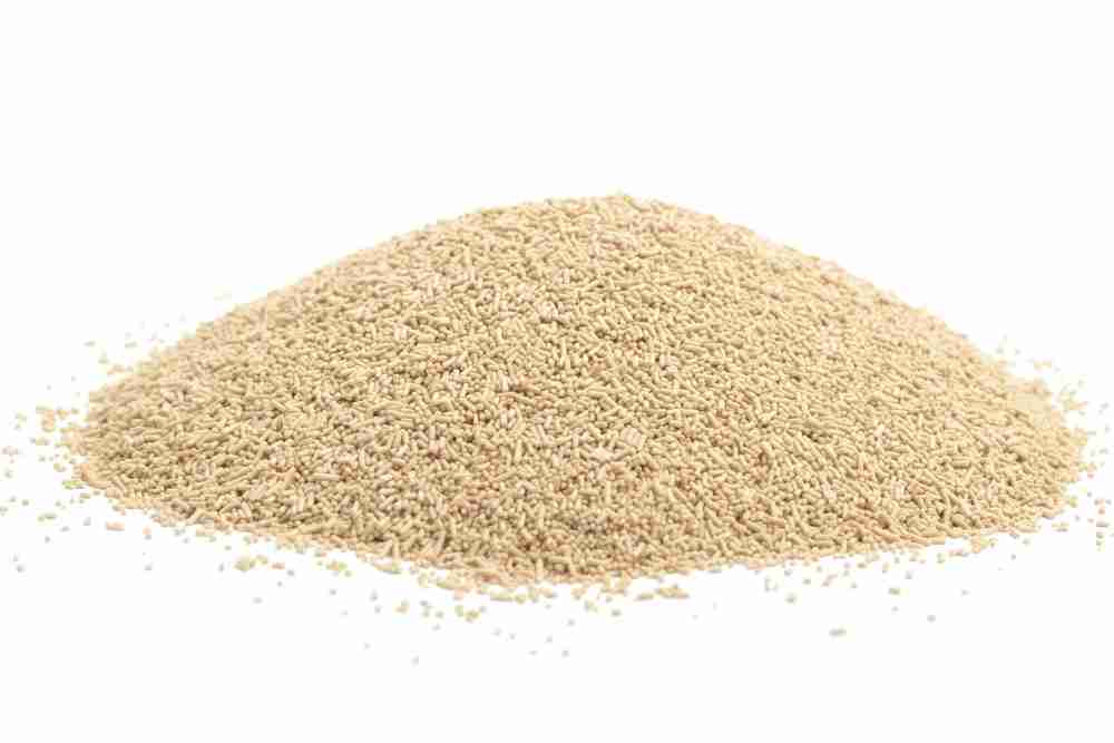 Bulk Organic Instant Yeast, 100g